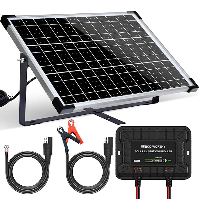 Kit cargador solar de batería ECO-WORTHY de 25 W con regulador y pinzas