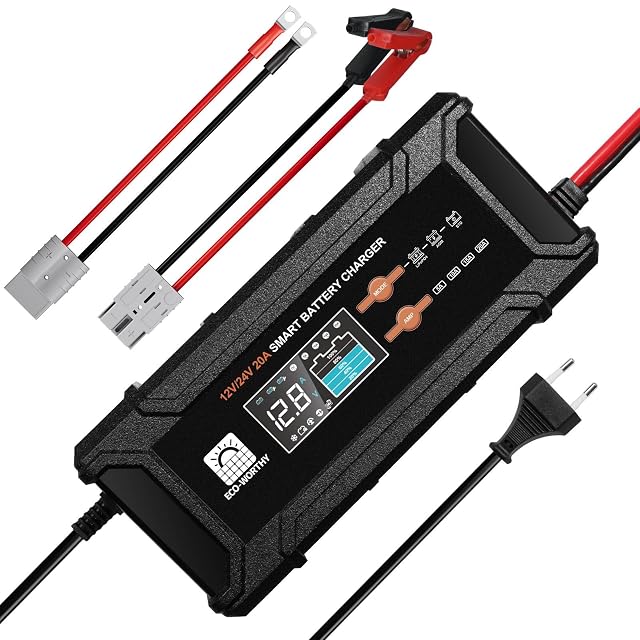 Cargador de batería LiFePO4 y plomo-ácido ECO-WORTHY de 20 A
